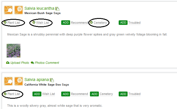 Create Your Personal Plant List!