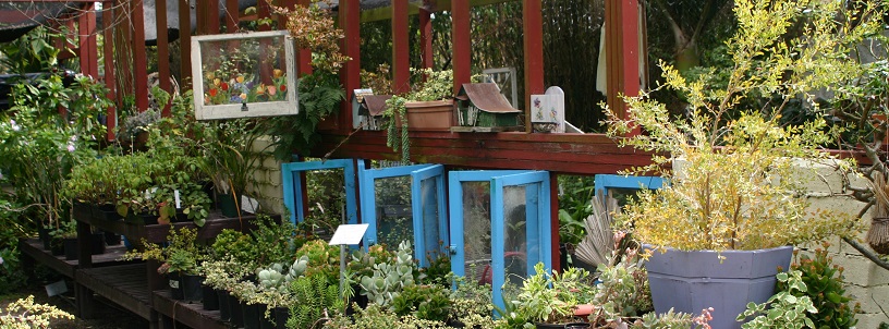 buenacreek_nursery-12_816x302