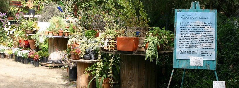 buenacreek_nursery-14_816x302