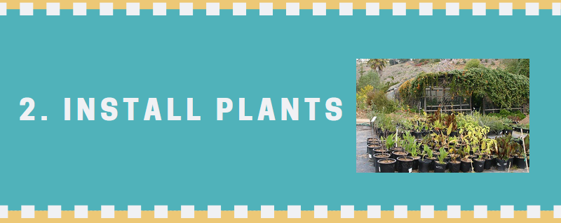installplants2