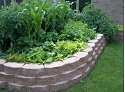 Gardening Tips