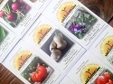 Gardening With Seeds