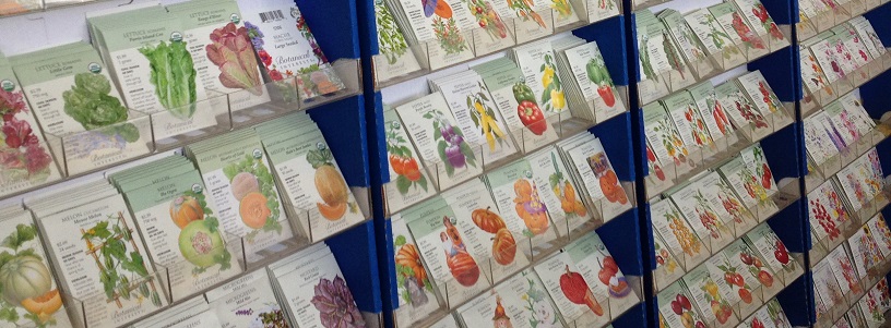 seed-stand_816x302