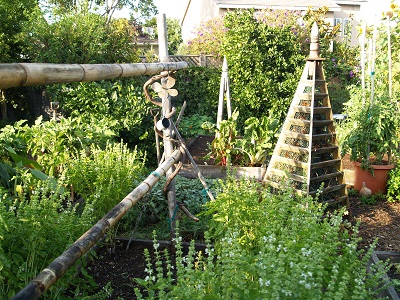 Five ways to make money using the Mulch.