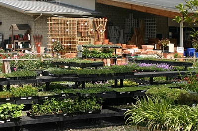 Gardening Pros & Clubs: Using the Great Features on the Mulch Gardening Professionals and Clubs