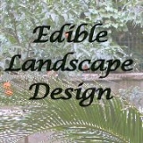 Edible Landscape Design