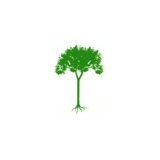Affordabletrees