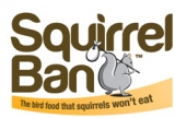 squirrel1