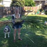 Sarah-starts-a-garden
