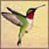 KatieB