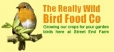 streetendfeeds