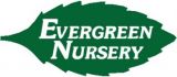 Evergreen Nursery