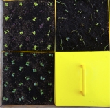 The Garden Stamp