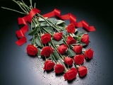 philip.jones588