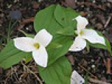 GardenKeeper