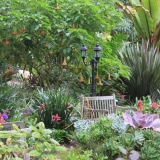iloveplants
