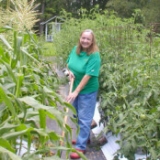 advance greenhouses