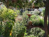 gardendave