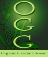 Ogg