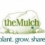 Free Pack of Seeds for Joining TheMulch!