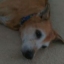 MR