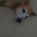 MR