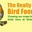 streetendfeeds