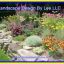 landscapedesignbylee