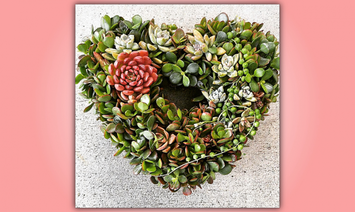 Heart-Shaped Succulent Wreath