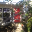 My Yard