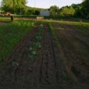 garden 2012
