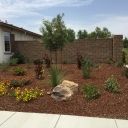 Our Yard