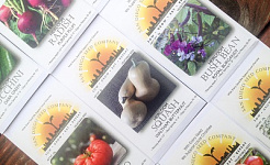 Articles about Gardening with Seeds