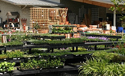 Gardening Professionals and Clubs