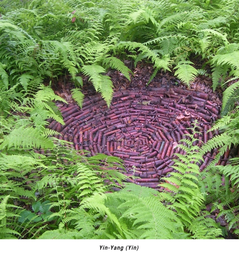 Art_Goes_Wild_4