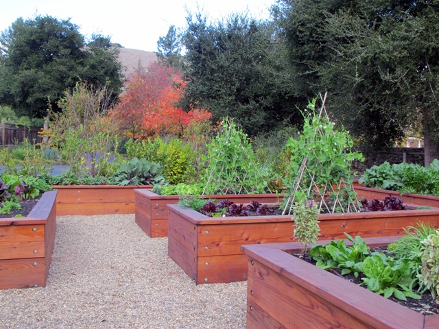 DiPrisco_Meadow_Garden_3