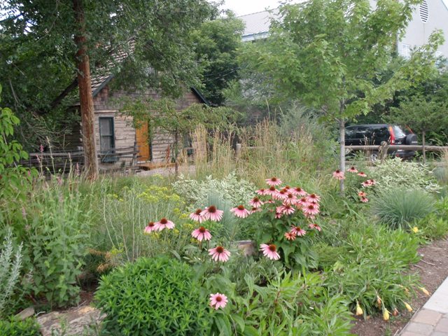 Gennys_Garden_2