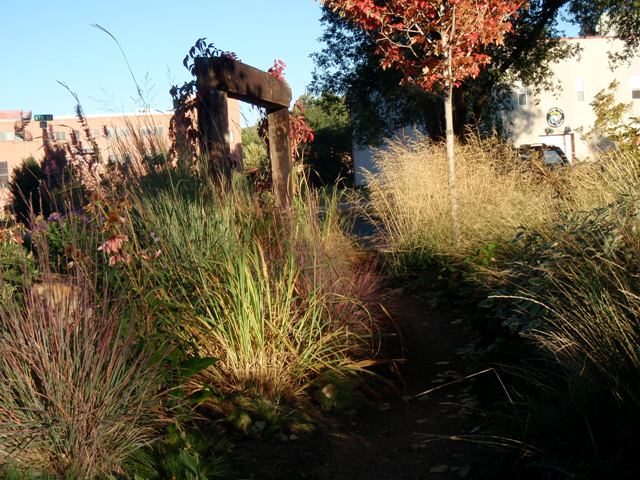 Gennys_Garden_3