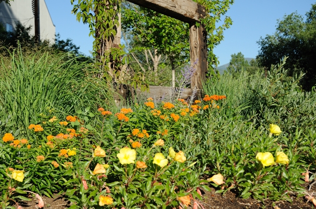 Gennys_Garden_4