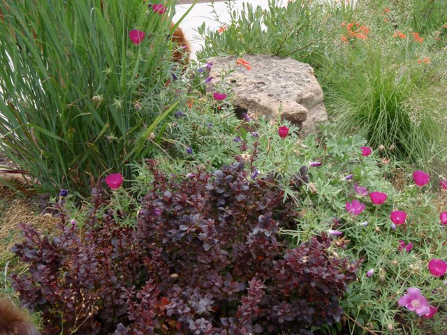 Gennys_Garden_5
