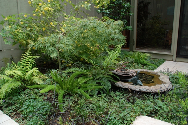 Pocket-Sized_Courtyard_2