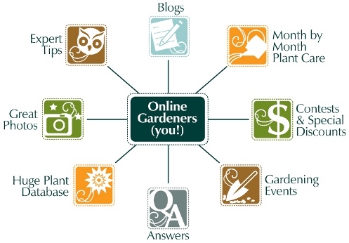 Start Here - Using the Mulch