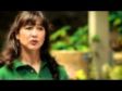 Citrus Basics How To - Armstrong Garden Centers