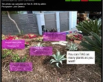TAG your plant photos!