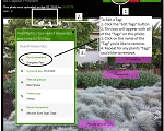 Edit Your Tagged Photos!