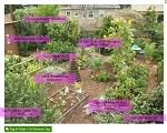 Tag your plants!