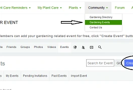 Create an event