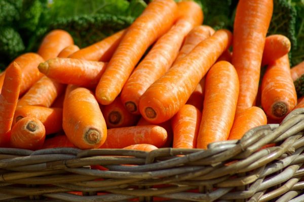 Daucus carota var. sativus 'Little Finger'