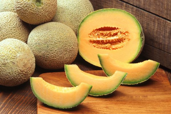Cucumis melo ssp. Reticulatus Group 'Hales Best'