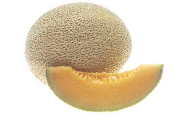 Cucumis melo 'Golden Delicious' 